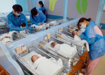 كوريا الجنوبية تعلن ارتفاع المواليد 15.2% وتعزز سوق التأمين قبل الولادة 2026